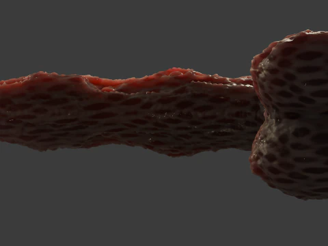 Fantasy Grumgirax Demon Penis Sextoy Rigged 3D Model