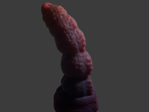 Nabad Dragon Penis Sextoy Rigged 3D-Modell