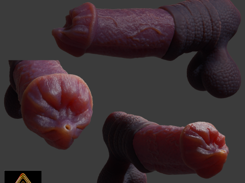 Hecarelion Dragon Horse Penis Sextoy Rigged 3D Model