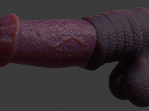 Hecarelion Dragon Horse Penis Sextoy Rigged 3D Model