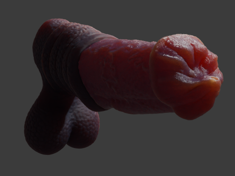 Hecarelion Dragon Horse Penis Sextoy Rigged 3D Model