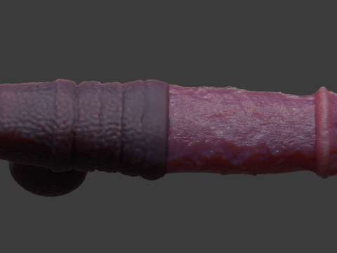 Hecarelion Dragon Horse Penis Sextoy Rigged 3D Model