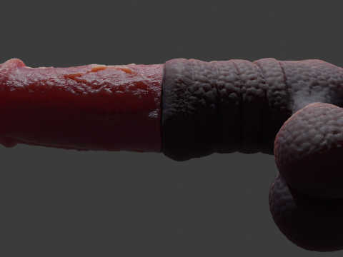 Hecarelion Dragon Horse Penis Sextoy Rigged 3D Model