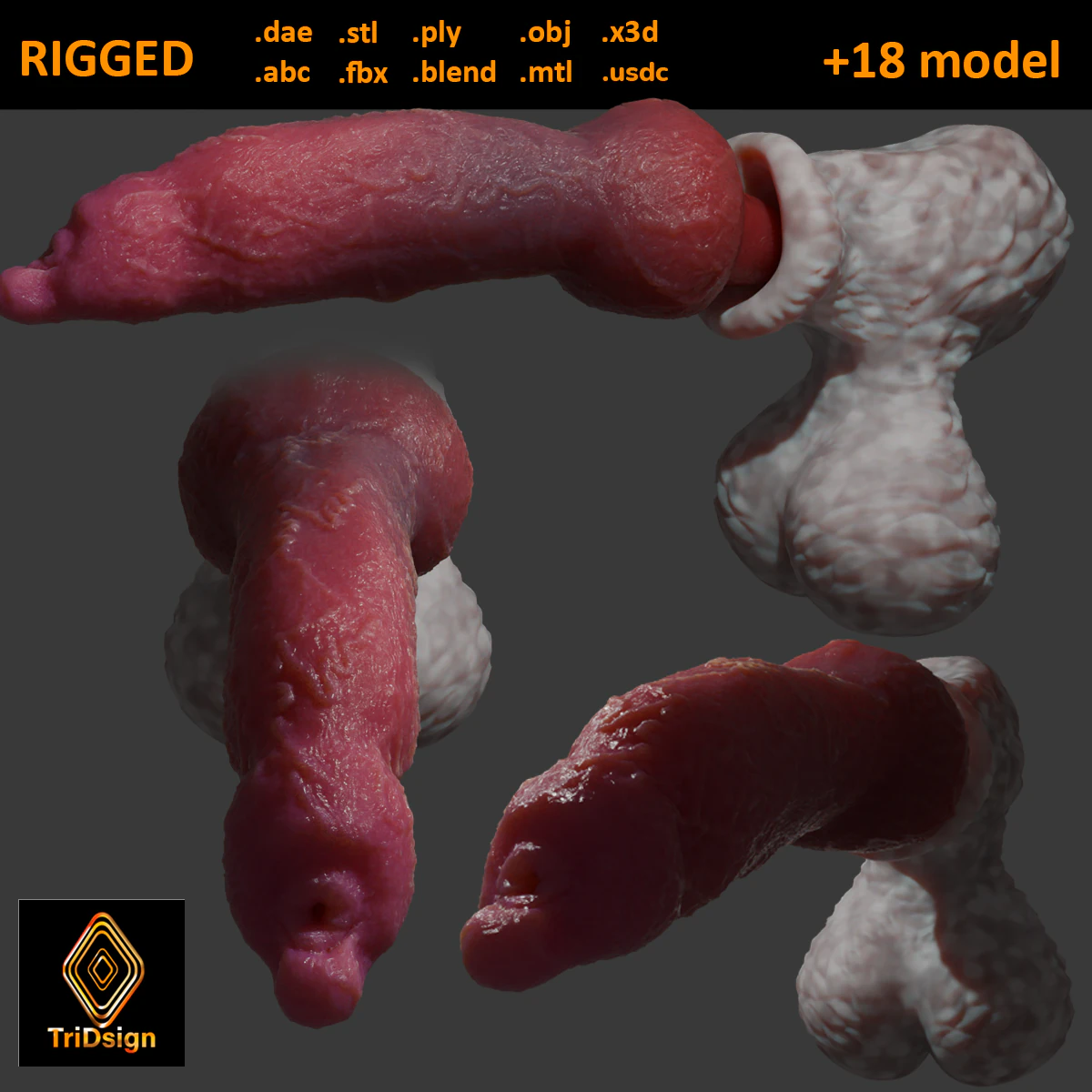 Sett Dog Penis Sextoy Rigged 3D Model .c4d .max .obj .3ds .fbx .stl .blend 