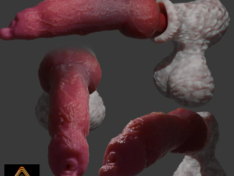 Sett Dog P&ecirc;nis Sextoy Rigged Modelo 3D
