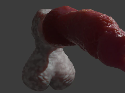 Sett Dog Penis Sextoy Rigged 3D Model