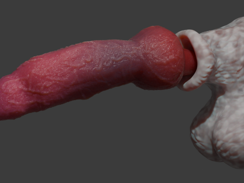 Sett Dog Penis Sextoy Rigged 3D-Modell