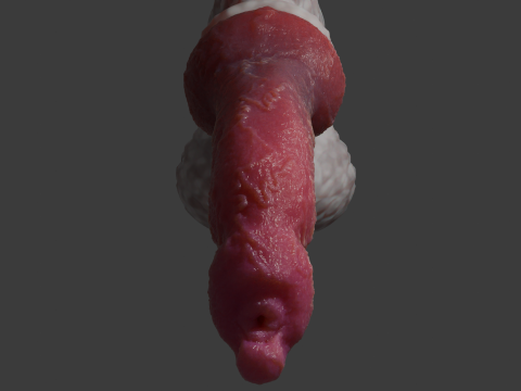 Sett Dog Penis Sextoy Rigged 3D-Modell