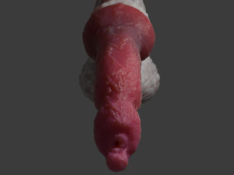 Sett Dog Penis Sextoy Rigged 3D Model