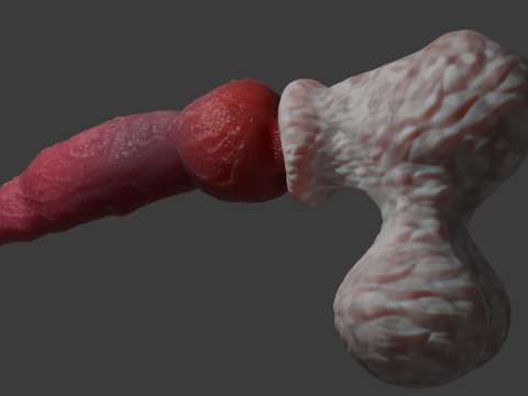 Sett Dog Penis Sextoy Rigged 3D-Modell