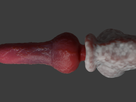 Sett Dog Penis Sextoy Rigged 3D-Modell