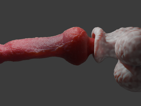 Sett Dog Penis Sextoy Rigged 3D-Modell
