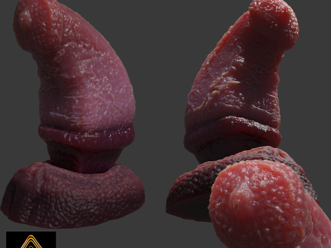Fantasy Faegor Monster Sextoy Rigged 3D Model
