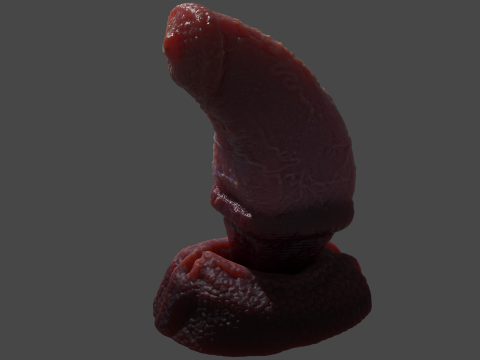 Fantasy Faegor Monster Sextoy Rigged 3D Модель