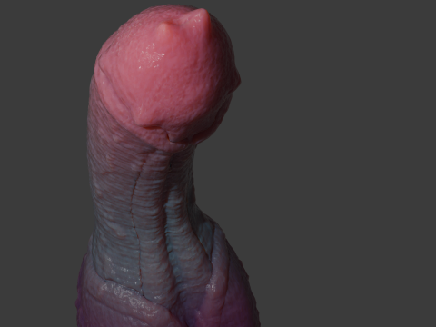 Lahrin Monster Penis Sextoy Rigged 3D Model