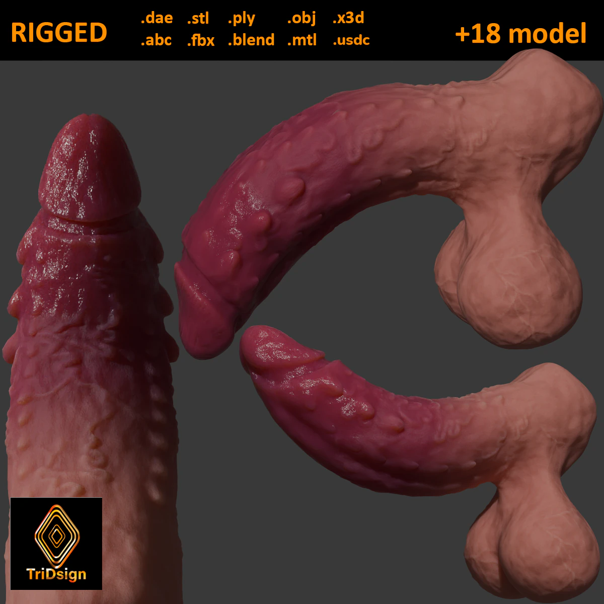 Ferinan Monster Penis Sextoy Rigged 3D Model .c4d .max .obj .3ds .fbx .stl .blend 