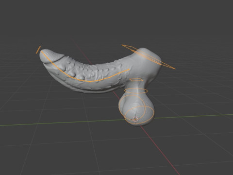 Ferinan Monster Penis Sextoy Rigged 3D Model