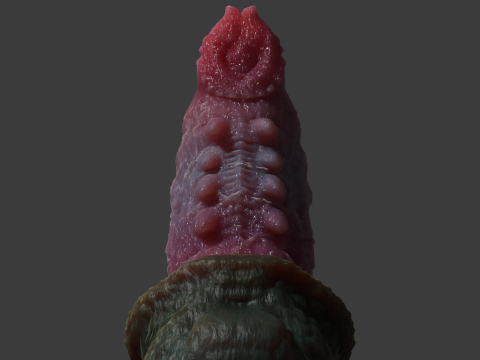Fantasy Skiritix Dragon Penis Sextoy Rigged 3D Model