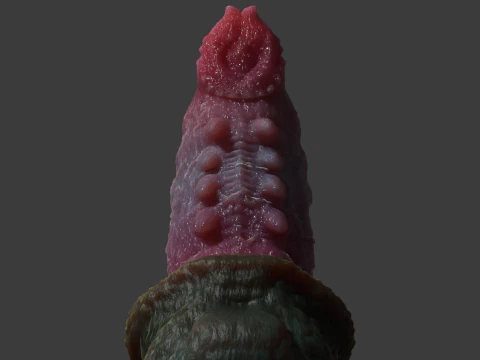 Fantasy Skiritix Drag&oacute;n Pene Sextoy Rigged Modelo 3D
