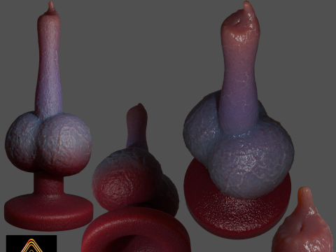Tiny Dog Penis Sextoy Rigged 3D Model