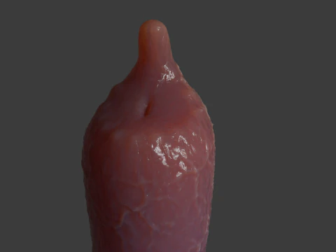 Tiny Dog Penis Sextoy Rigged 3D Model