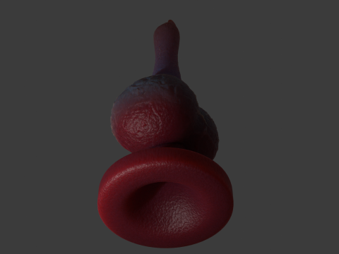 Tiny Dog Penis Sextoy Rigged Model 3D