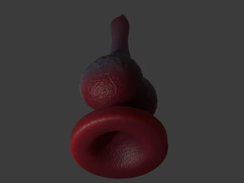 Tiny Dog Penis Sextoy Rigged 3D Model