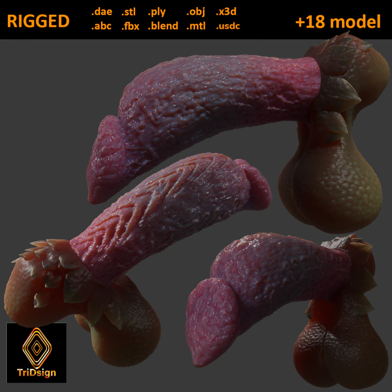 Fantasiedraak Eragan Penis Sextoy opgetuigd 3D Model .c4d .max .obj .3ds .fbx .stl .blend 