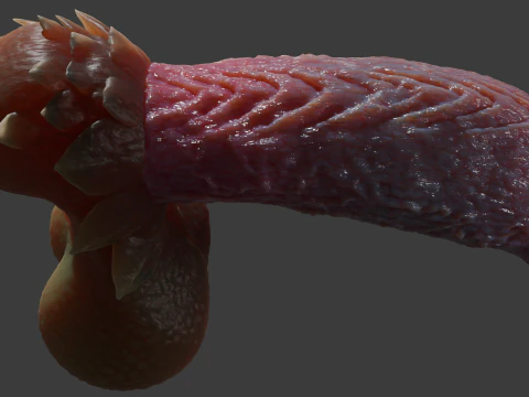 Fantasiedraak Eragan Penis Sextoy opgetuigd 3D Model