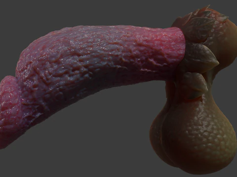 Fantasiedraak Eragan Penis Sextoy opgetuigd 3D Model