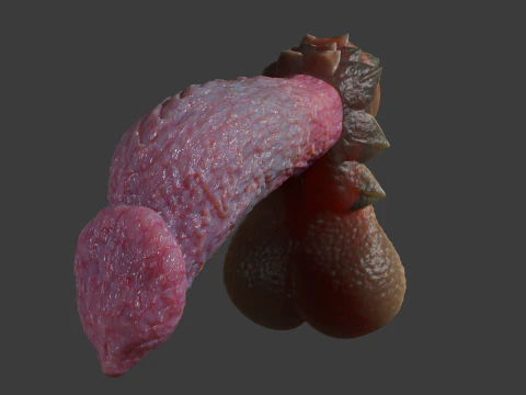 Fantasiedraak Eragan Penis Sextoy opgetuigd 3D Model