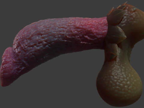 Fantasiedraak Eragan Penis Sextoy opgetuigd 3D Model