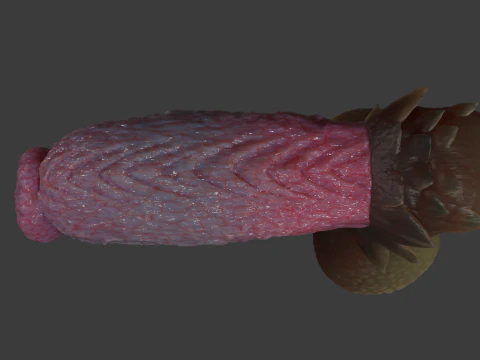 Fantasiedraak Eragan Penis Sextoy opgetuigd 3D Model