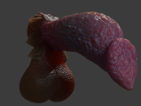 Fantasiedraak Eragan Penis Sextoy opgetuigd 3D Model