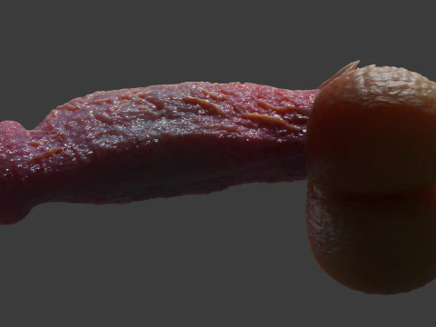 Fantasiedraak Eragan Penis Sextoy opgetuigd 3D Model