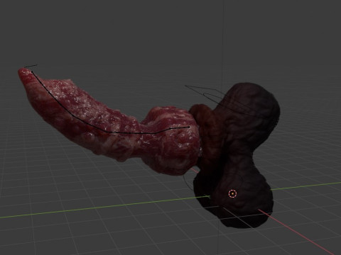 Spooky Werewolf Penis Sextoy Rigged 3D Model