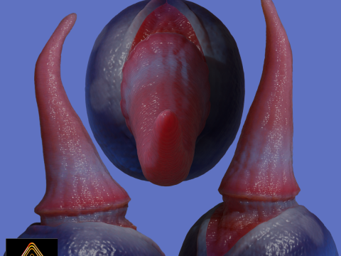 Fizz Fantasy Penis Sextoy Rigged 3D Model