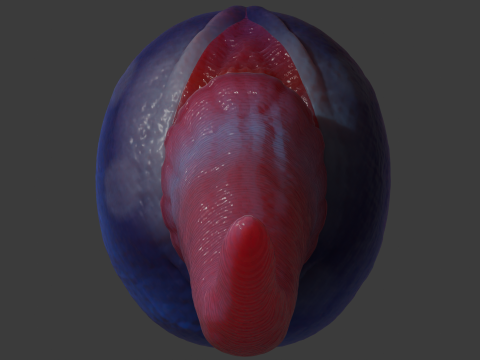 Fizz Fantasy Penis Sextoy Rigged 3D Model