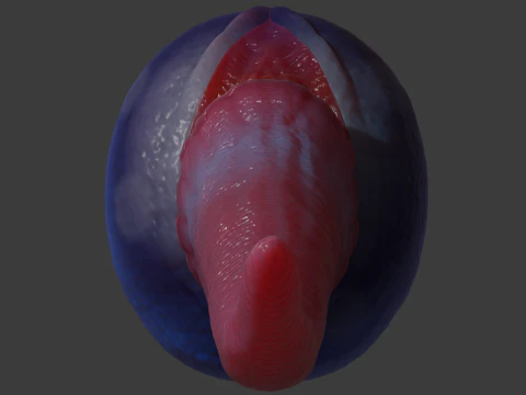 Fizz Fantasy Penis Sextoy Rigged 3D Model