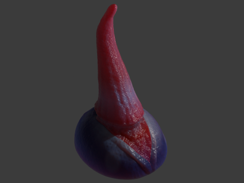 Fizz Fantasy Penis Sextoy Rigged 3D Model