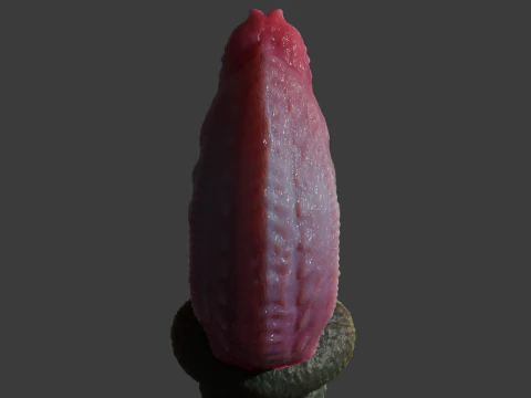 Sheathed Dog Penis Sextoy Rigged 3D Model