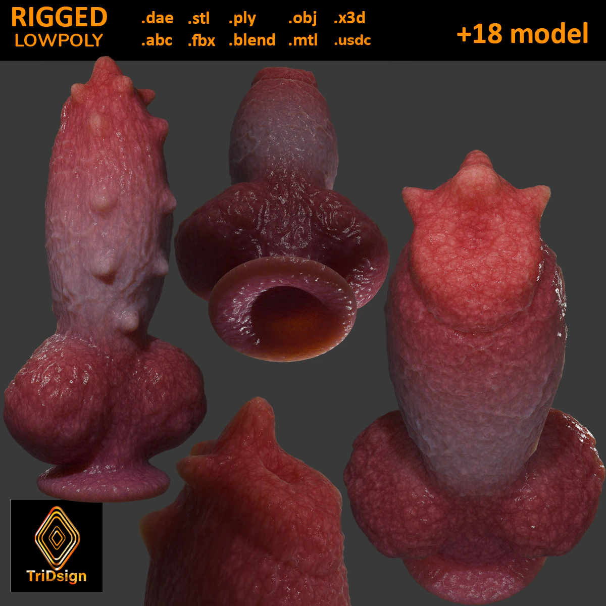 Fantasy Spyke Penis Sextoy Low poly Rigged 3D Model .c4d .max .obj .3ds .fbx .stl .blend 