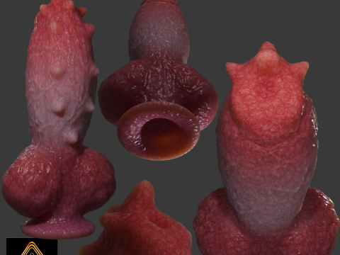 Fantasy Spyke Penis Sextoy Low poly Rigged 3D Model