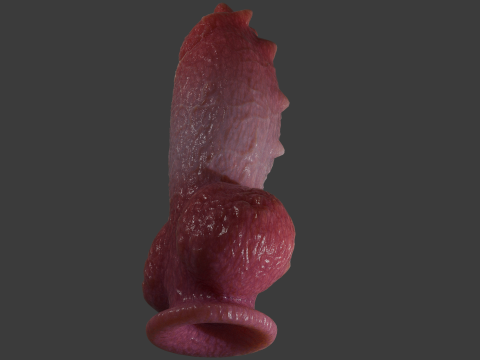Fantasy Spyke Penis Sextoy Low poly Rigged 3D Model