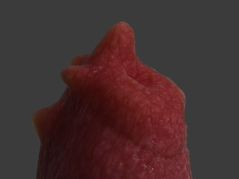 Fantasy Spyke Penis Sextoy Low poly Rigged 3D Model