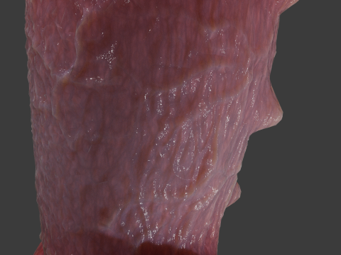 Fantasy Spyke Penis Sextoy Low poly Rigged 3D Model