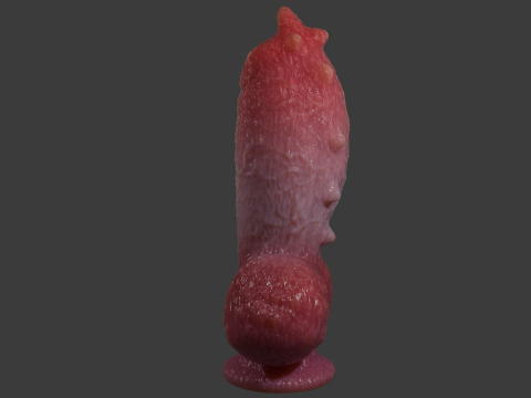 Fantasy Spyke Penis Sextoy Low poly Rigged 3D Model