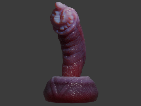 Fantasy Nikrann Dragon Penis Sextoy Low Poly Rigged 3D 模型