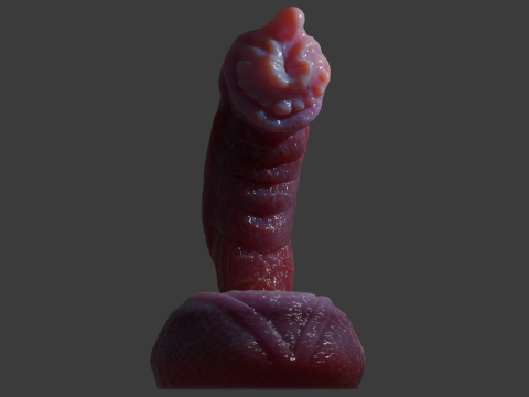 Fantasy Nikrann Dragon Penis Sextoy Low Poly Rigged 3D 模型