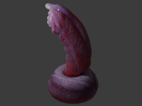Fantasy Nikrann Dragon Penis Sextoy Low Poly Rigged 3D 模型